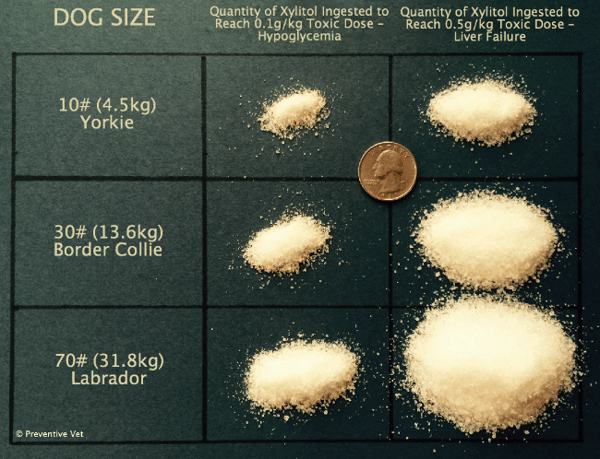 Toxic doses of xylitol based on dog size