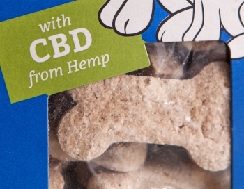 how medical cannabis works