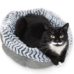 Pet Craft Soho memory foam cat bed