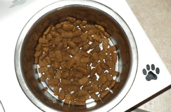 Pet-food-bowl.jpg Pet-food-bowl.jpg