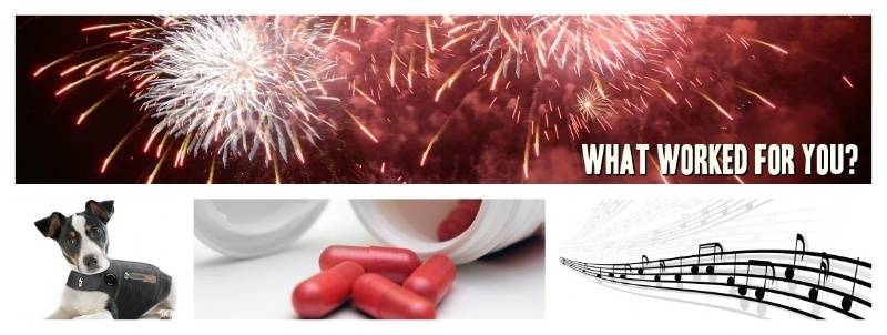 what worked for your pets and their fireworks anxiety