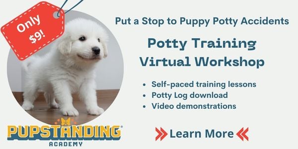 virtual potty training workshop - puppy essentials