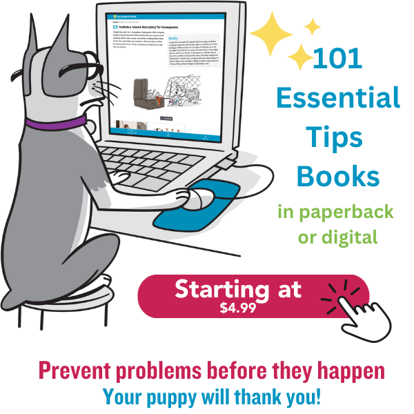 Prevent problems before they happen dog on computer
