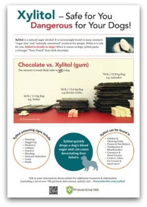 Xylitol-Poster
