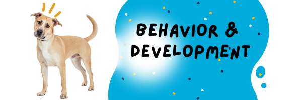 Pup Behavior and Development