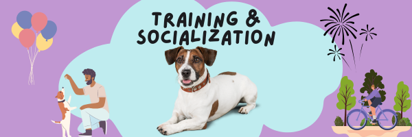 Pup Training & Socialization