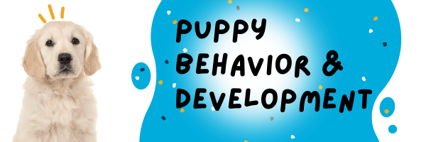 Puppy Behavior & Development