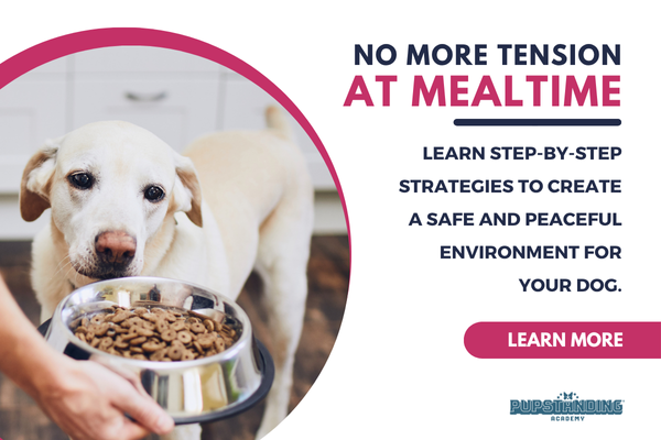 What Causes a Dog to Resource Guard: Key Reasons Uncovered