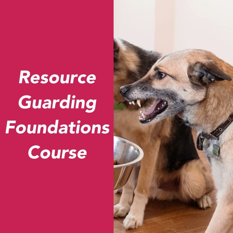 Resource guarding foundations course snarl copy