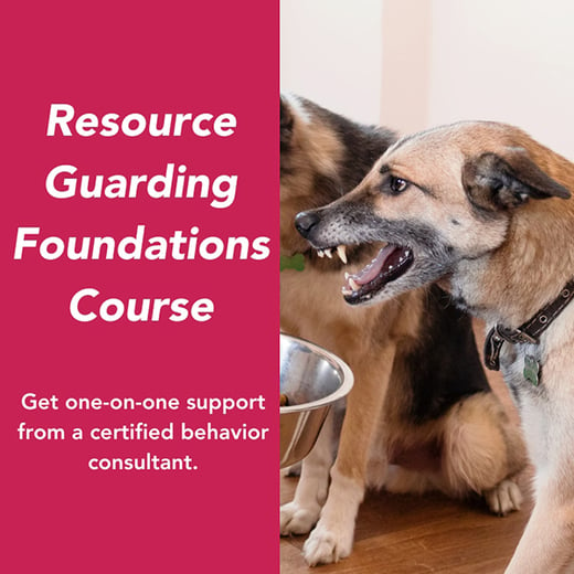 Resource guarding foundations course