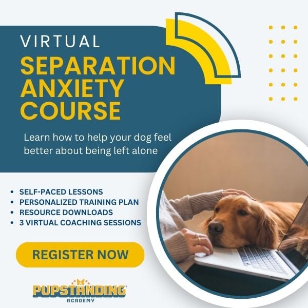 Symptoms of Separation Anxiety In Dogs - Venngage