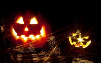 Safely-light-pumpkins-for-pets.jpg Safely-light-pumpkins-for-pets.jpg