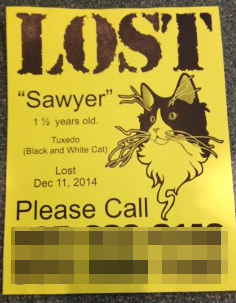 Sawyers lost cat poster example