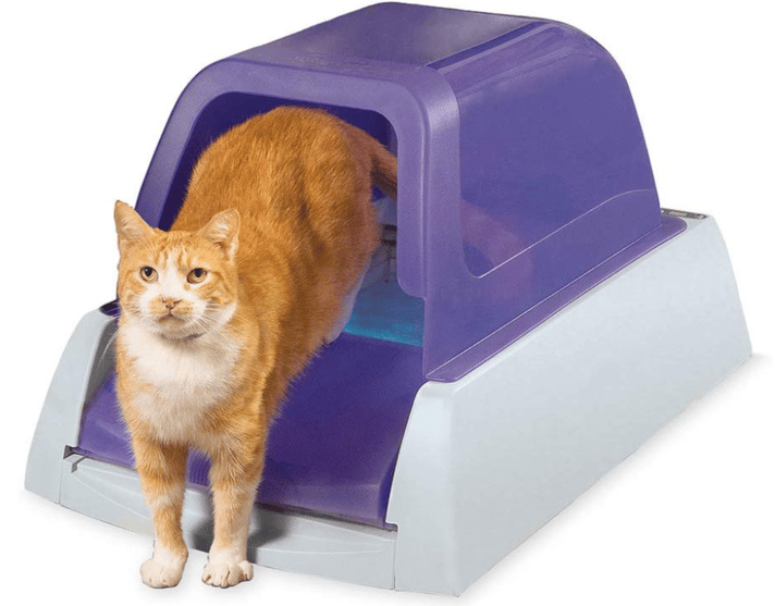 Automatic Litter Box