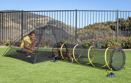 Outdoor Cat Enclosure