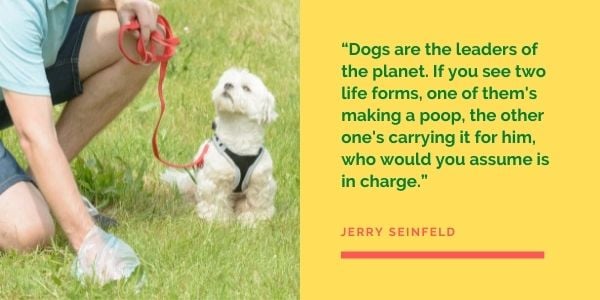Seinfeld dog quote being the leader of the planet