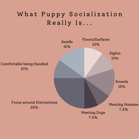 Socialization Really Is Chart