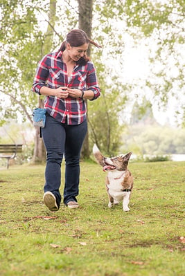 certified dog trainer Cathy Madson and her Welsh Cardigan Corgi Sookie