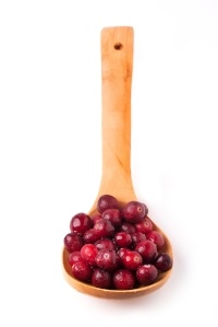 Spoon of cranberries for pet health