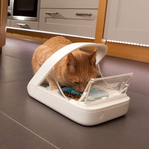 cat eating from surefeed microchip RFID pet feeder