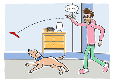 how to train a dog to bring a ball back