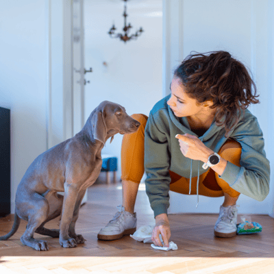 woman cleaing up a pee accident with puppy beside her