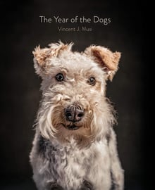 The year of dogs book