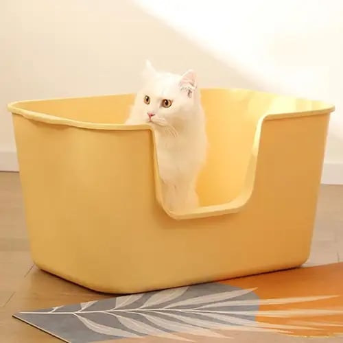 Litter Box 101: How to Choose the Best Litter Box for Your Cat