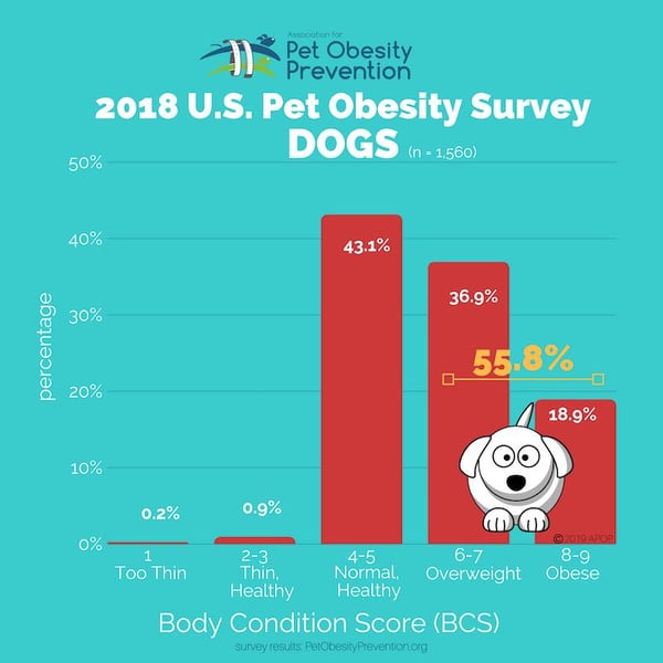 US Pet Obesity Infographic from Association for Pet Obesity Prevention