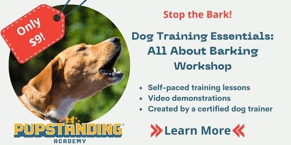 Pupstanding All About Barking Virtual Workshop