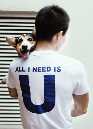 corgi being held and looking over owners shoulder