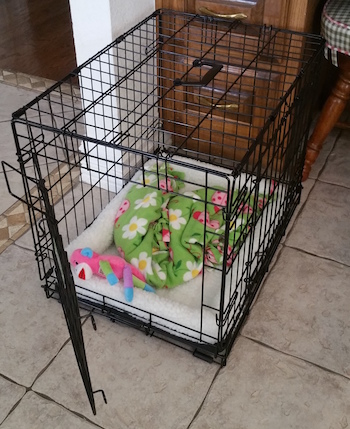 dog cage bed