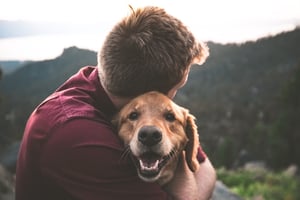 golden retriever looking relaxed while being hugged