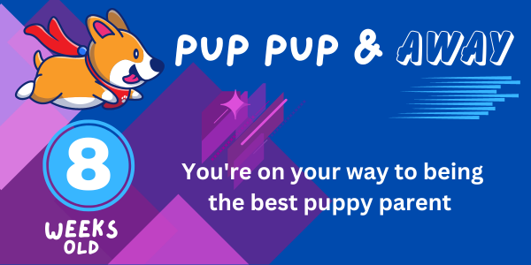 Puppy Email Journey 8 weeks -alt