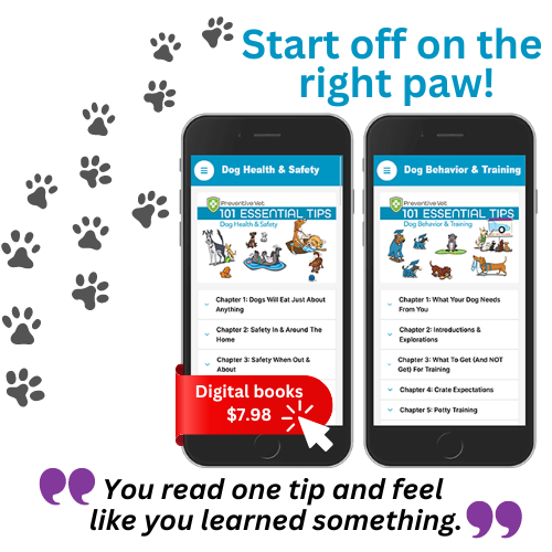digital books start off on the right paw