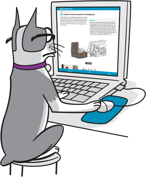 dog-web-book-computer-HS