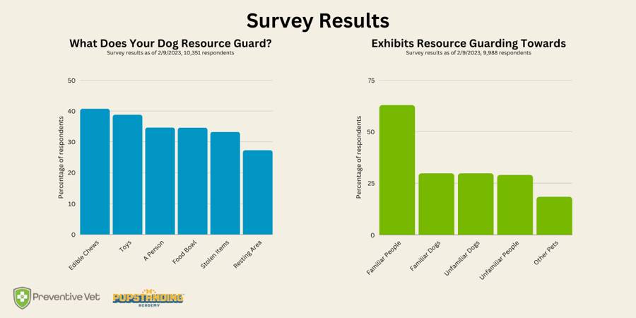 What Does Your Dog Resource Guard