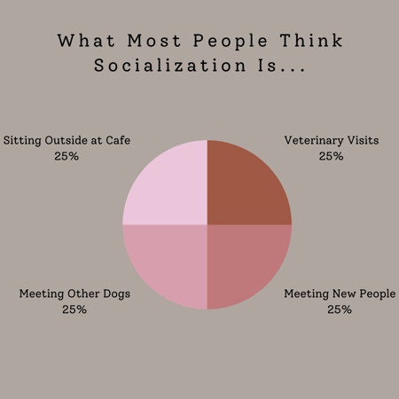 What People Think Socialization Is
