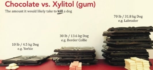 dogs peanut butter xylitol