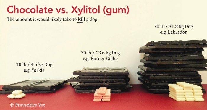 Xylitol-Chocolate-VS-Gum