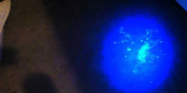 youtube thumbnail using blacklight to find pee stains
