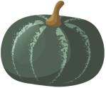 acorn squash