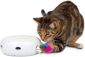 ambush cat toy