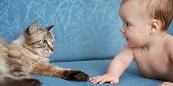 baby on couch with cat-DP