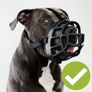 basket muzzle recommended 400 canva