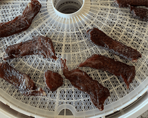 beef jerky dog treats from food dehydrator