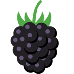 blackberry