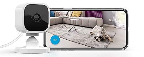 blink pet camera