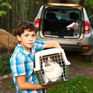 Boy with cat carrier