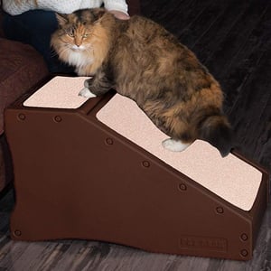 Cat Stairs
